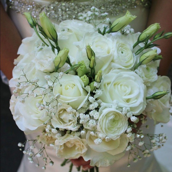 Meet your Posher, Lily - Picture 3 of 8